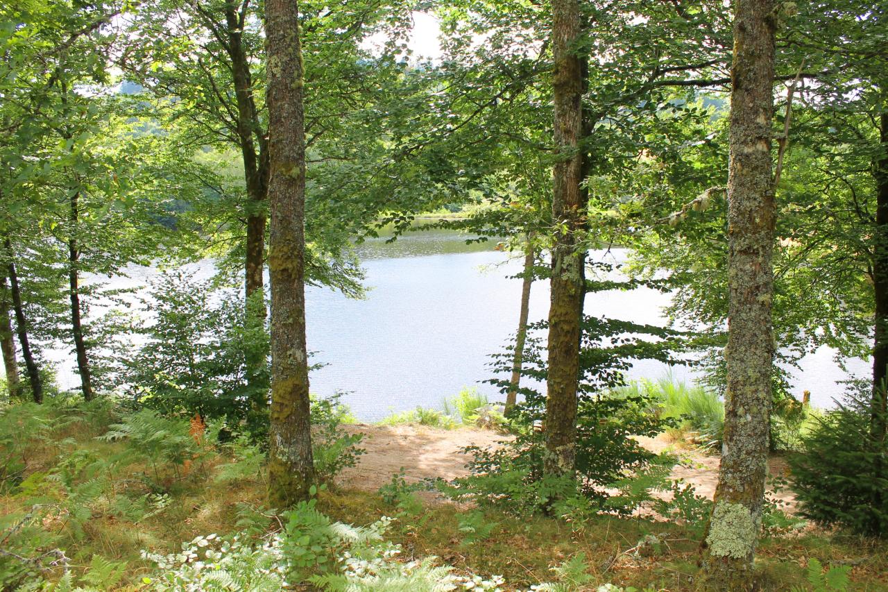 Vue du camping sur le lac