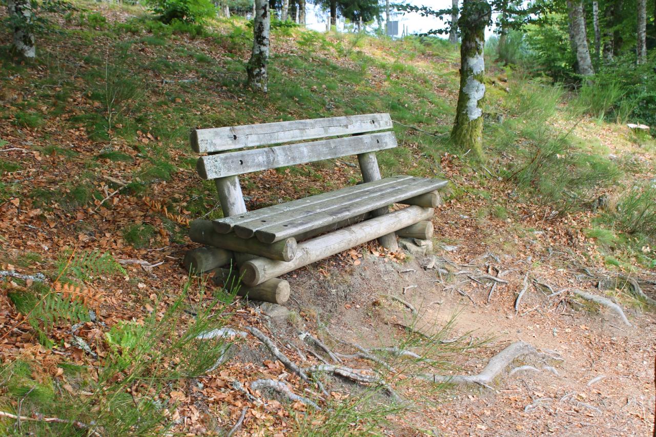 Banc pour pêcheurs ou promeneurs bord camping lac