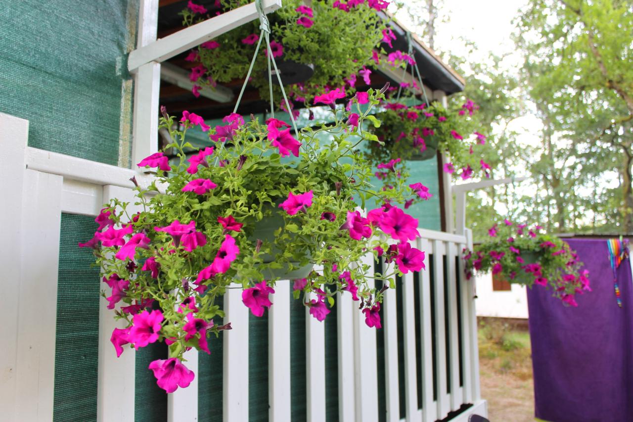 Fleurs Terrasse