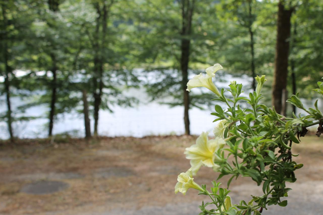 Vue du camping sur le lac