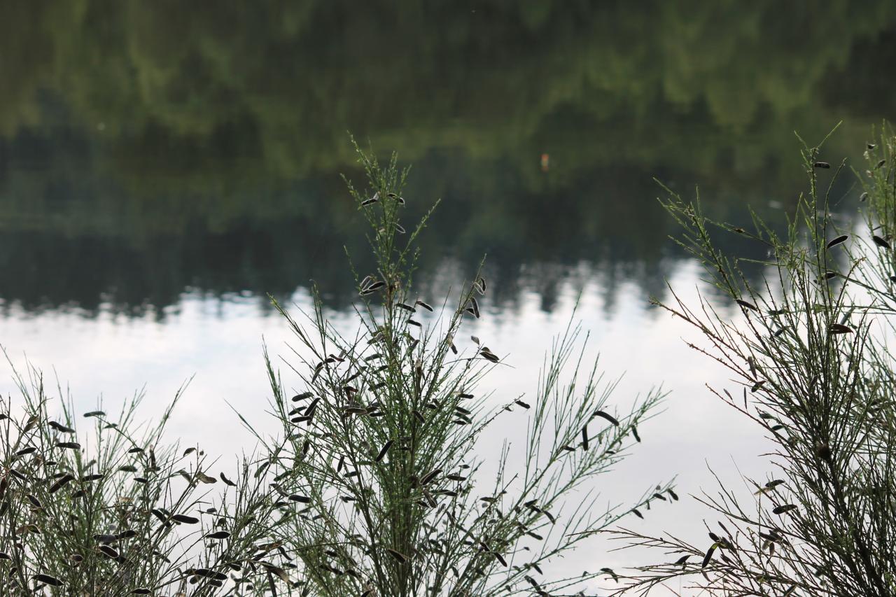 Vue sur le lac