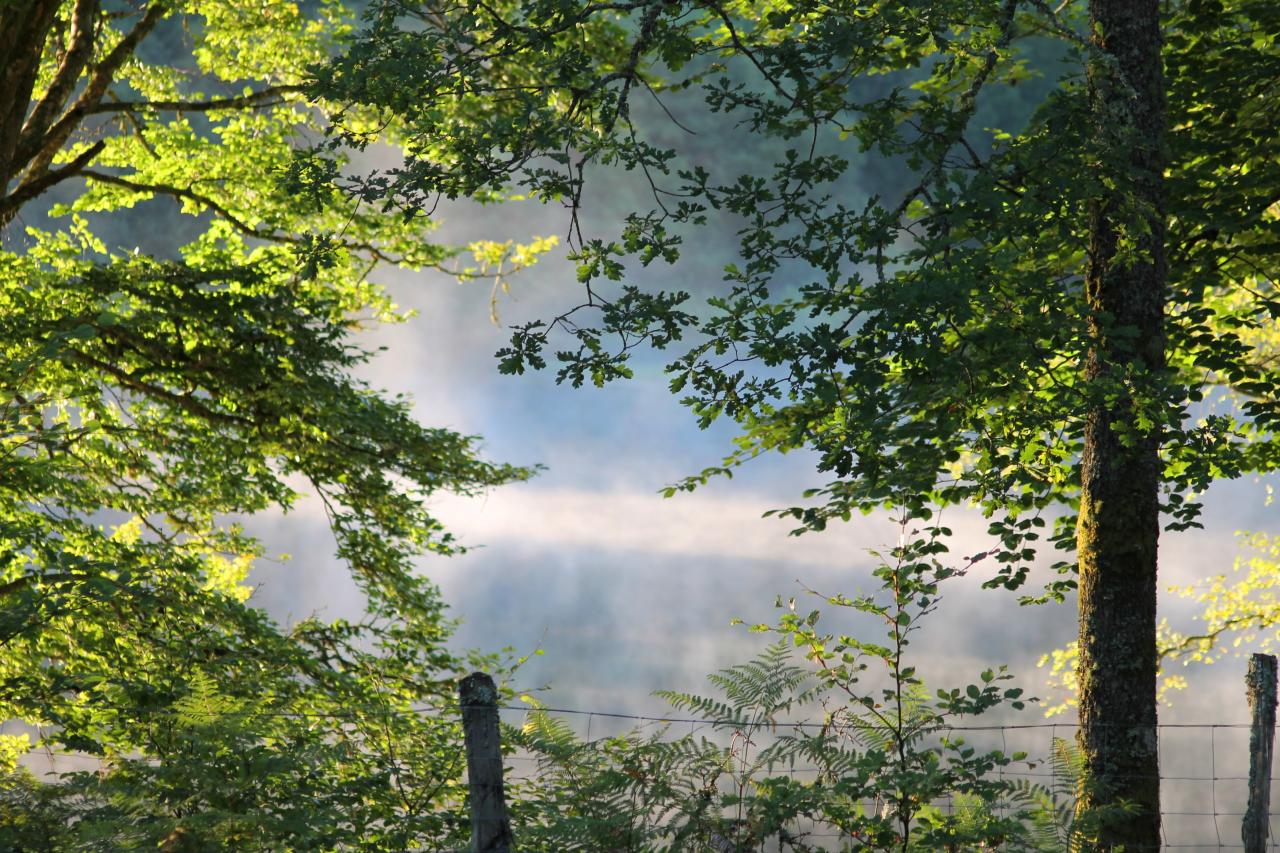 Vue du camping sur le lac au matin