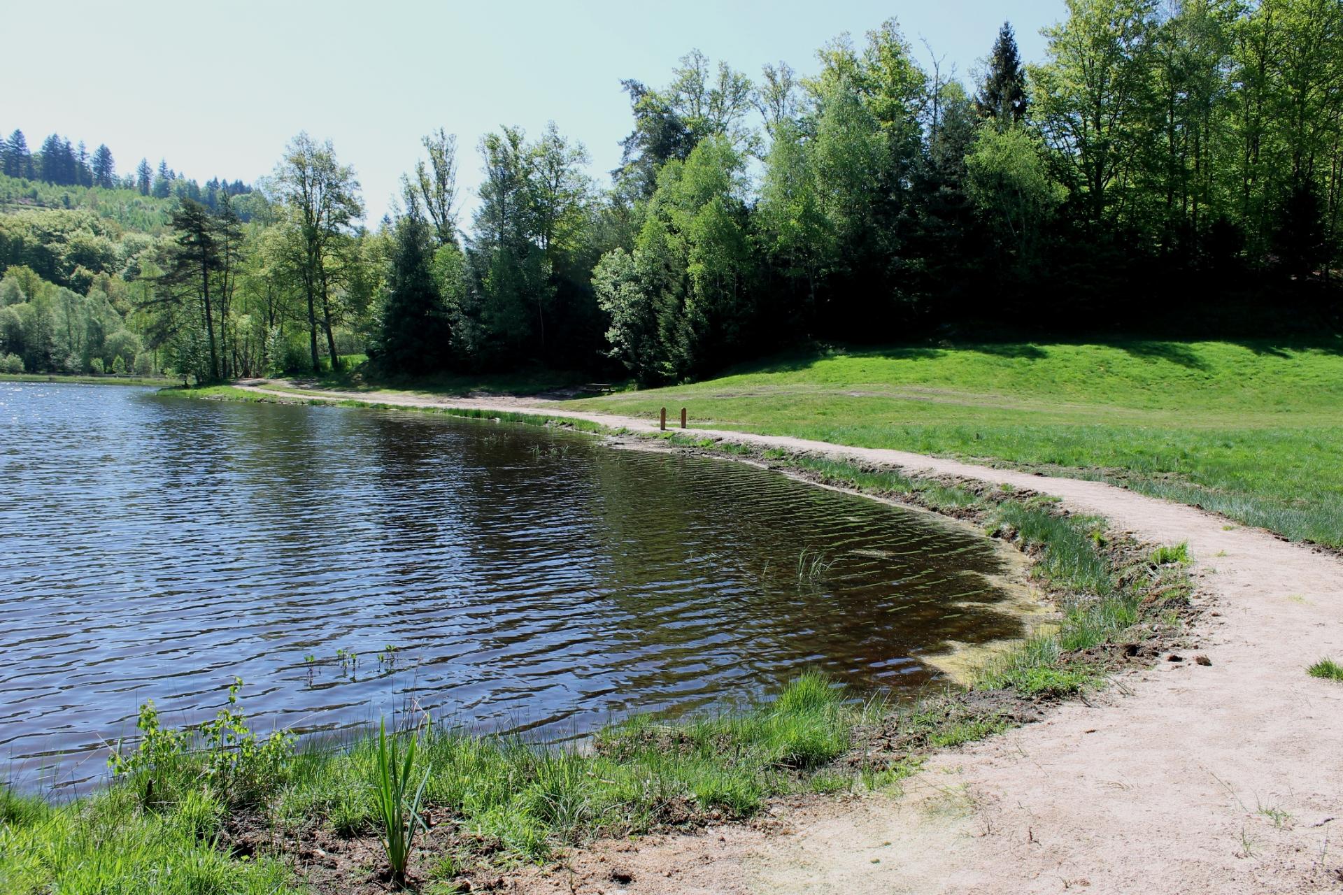 Chemin tour du lac