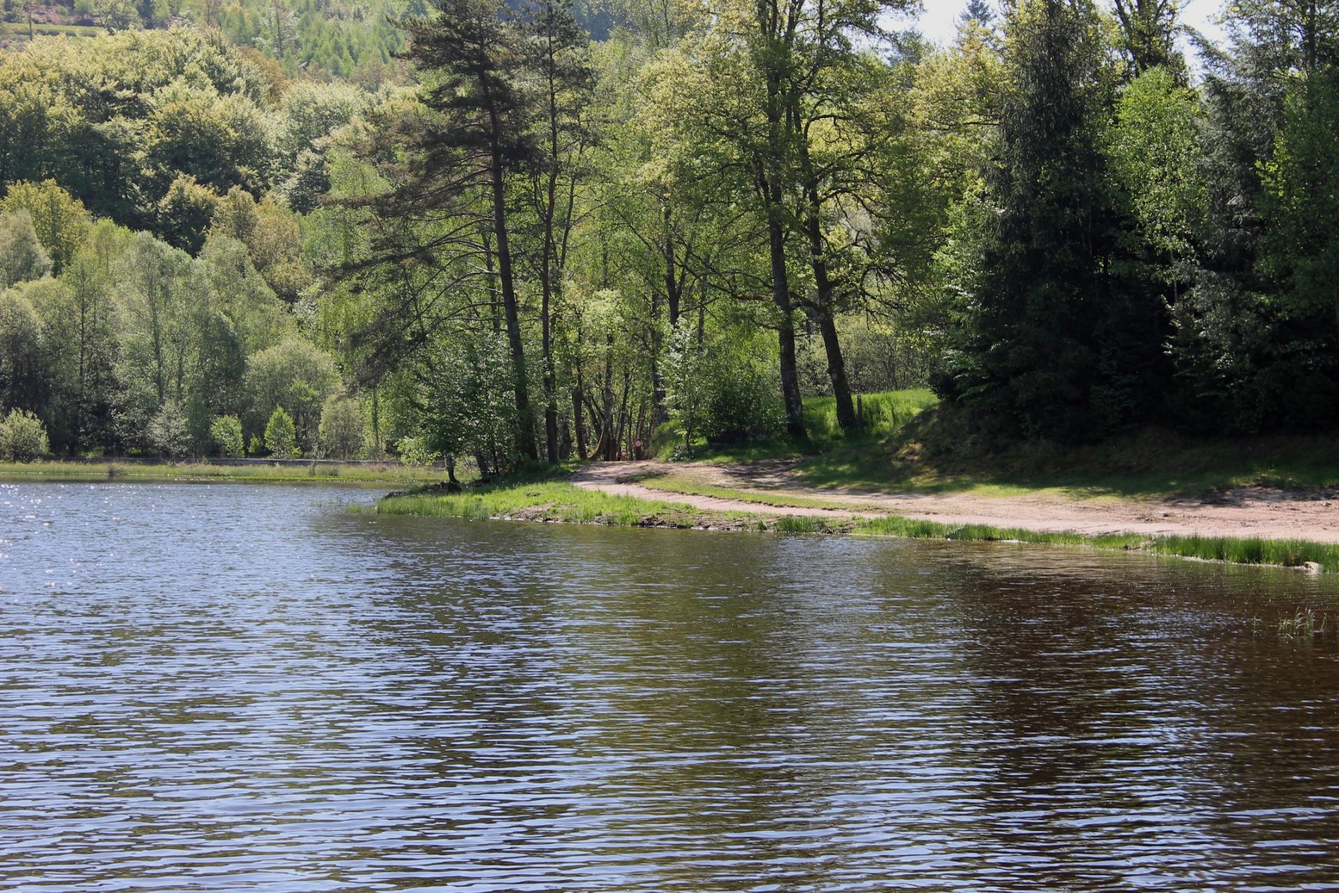 Chemin tour du lac