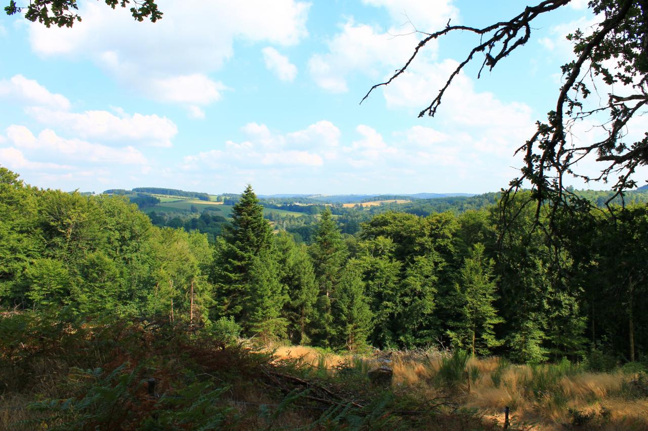 Site de la chapelle du Rat